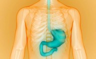 Recommendations Issued for Diagnosing, Managing Gastroparesis