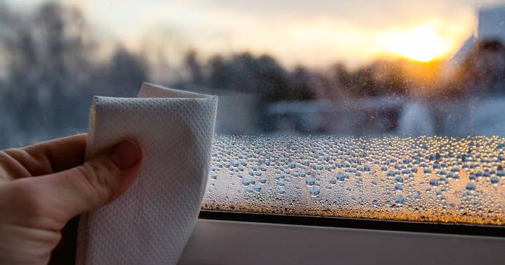 Expert's 65p trick to banish harmful window condensation during autumn