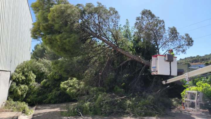 Árboles y ramas caídas en el Polígono Industrial de Barbastro tras el paso de la tormenta