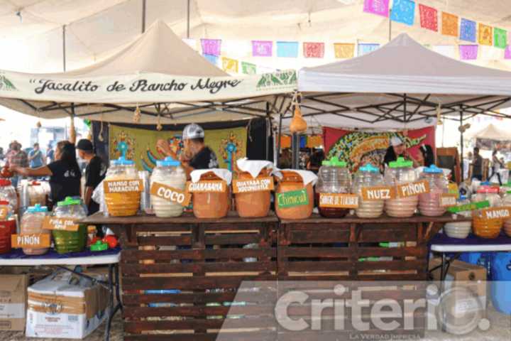 Ocampo celebra el Festival del Pulque con tradición, música y sabor hidalguense