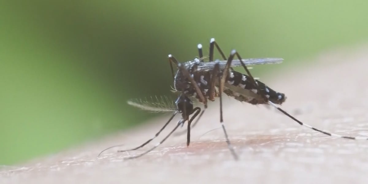 Cases of West Nile Virus on the rise, according to Louisville health officials