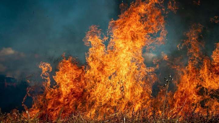 Detenido un vecino de Mazaricos (A Coruña) como supuesto autor de un incendio forestal al realizar labores agrícolas