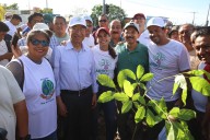 RENUEVA ANA PATY PERALTA ÁREAS VERDES CON ARBORIZACIÓN
