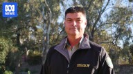 Firefighters honoured for Black Summer efforts as CFA warns about fire season