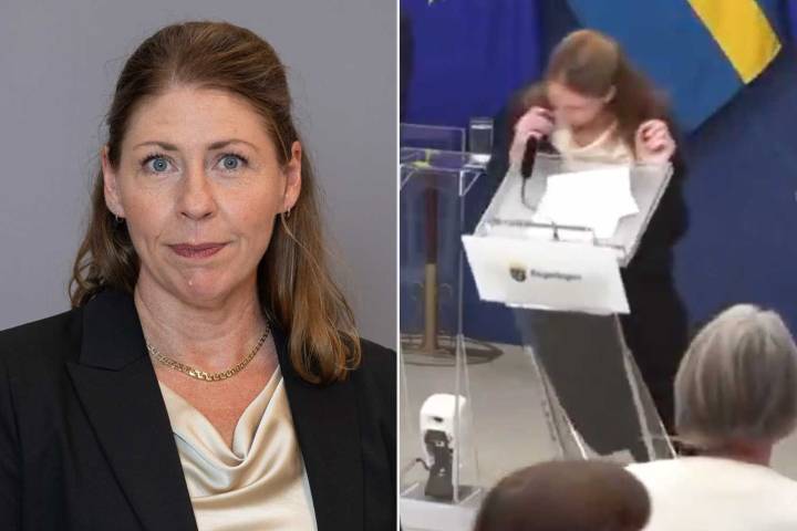 Sweden's New Health Minister Elisabet Lann Collapses on Stage