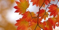 Llega oficialmente el otoño: ¿qué tiempo nos espera?