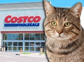 Costco Fan-Favorite Item Just Returned and Has Pet Owners Saying “Aww”