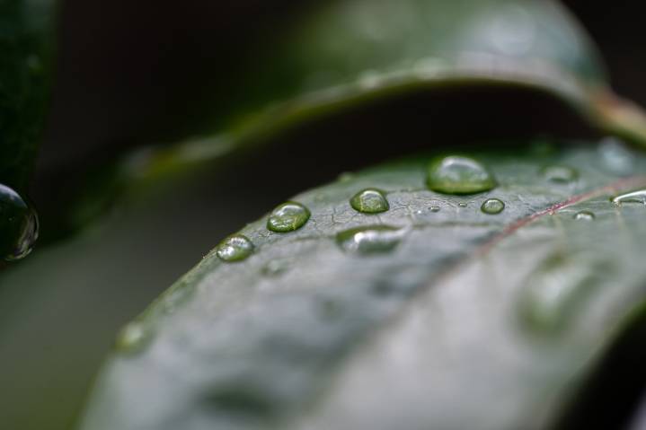 Rain, potential thunderstorms moving through Portland area Tuesday