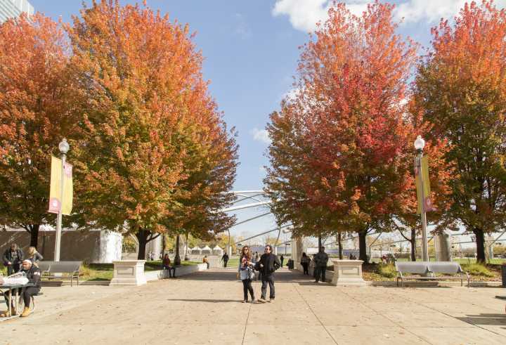 15 reasons fall in Chicago truly stands out—from someone who’s lived it