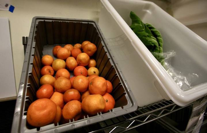 Edmonds College’s one-stop shop offers food, community and care