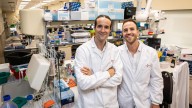 Descifrada la 'caja negra' del cáncer: ya se sabe cuándo se origina un tumor y cuál será su progresión