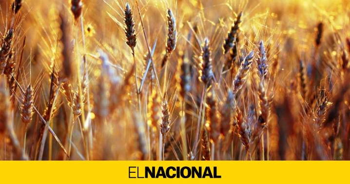 Esta es la comarca de Catalunya ideal para desconectar