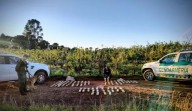 Circulaban con las luces apagadas, armados y con droga: cuatro detenidos
