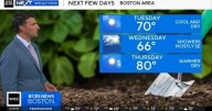 Next Weather: WBZ Update