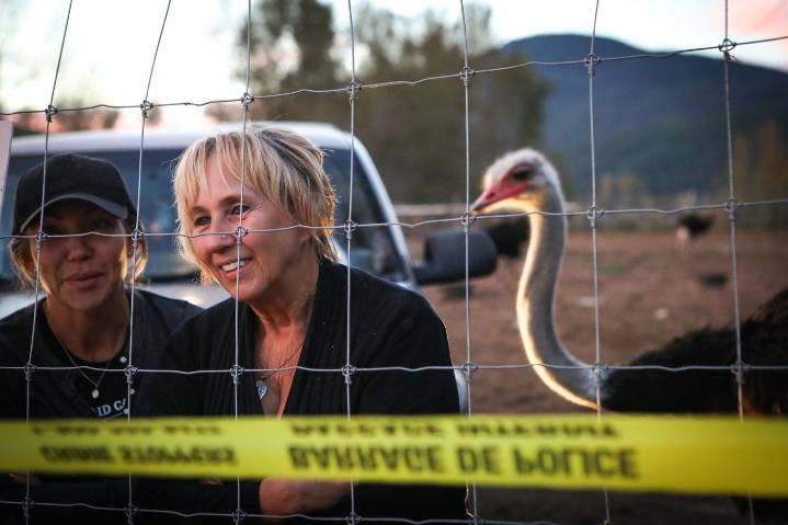 CFIA gets ready for cull on BC ostrich farm after outbreak of avian influenza