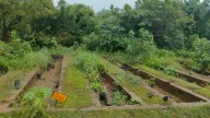 Meerut Resident Transforms Alwar Village; Develops Green Patch And Herbal Nursery