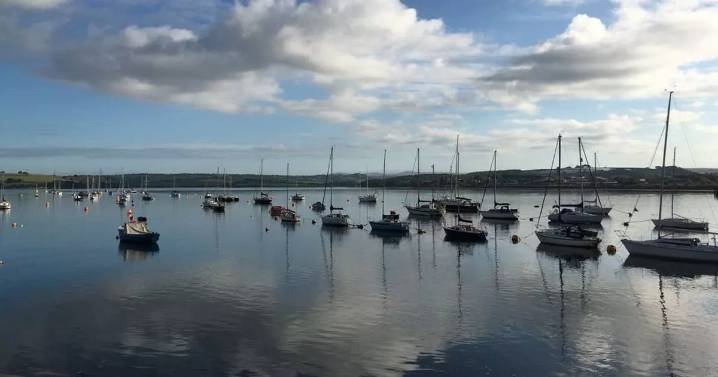 Teen hero rescues 'screaming' girl from River Tamar