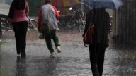 Fuertes lluvias provocan caídas de cables y árboles en Falcón