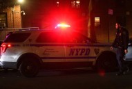 Rosedale man identified as victim who was shot to death in Jamaica parking lot: NYPD
