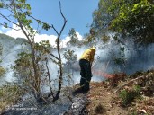 Incendios forestales son reiterados en Nariño