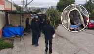 Funcionario de la PDI habría disparado y matado a perro callejero en Quilpué: hecho está siendo investigado