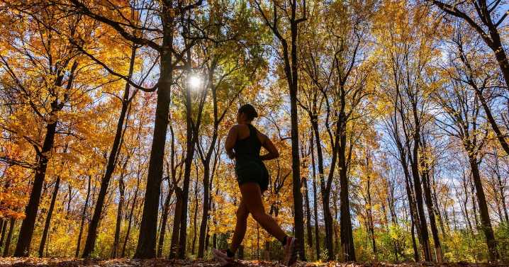 Fall 2025: Canada droughts may mean less colourful leaves