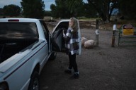 One woman’s two-year quest to help a wild horse abandoned near Florence: ‘It just breaks my heart’