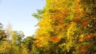 Will St. Clair County’s weekend weather feel like fall?