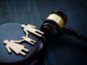 Jamie Sarkonak: Common-law parenthood is coming to Canada