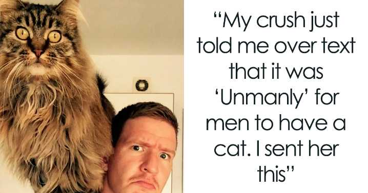 49 Of The Funniest Cat Pictures On The Internet (New Pics)