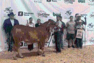 Gladewater High School student wins grand championship at Four States Fair