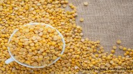 ‘Farmers Can’t Compete with Imports at Half the MSP’: SC Issues Notice to Govt on PIL Against Yellow Pea Imports