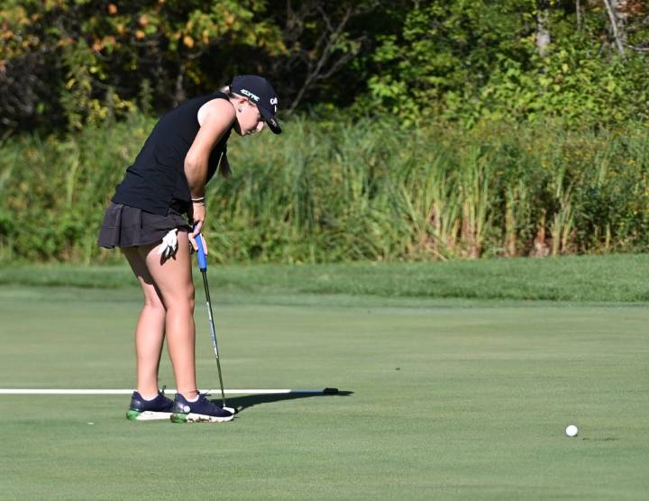 Macomb Dakota, DCD, Lutheran North earn top three slots at VC