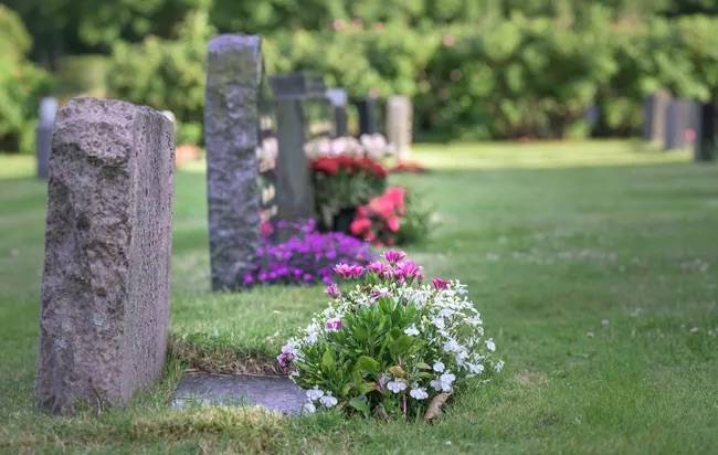 Graveyard For Black Boys Who Died In Maryland Detention To Be Restored