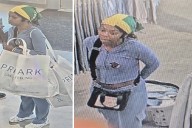 Shoplifter Strikes at Lake Grove Clothing Store; Police Seeking Help to ID Suspect