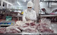 Revés judicial: suspenden la flexibilización de la barrera sanitaria patagónica en Tierra del Fuego por pedido de ganaderos