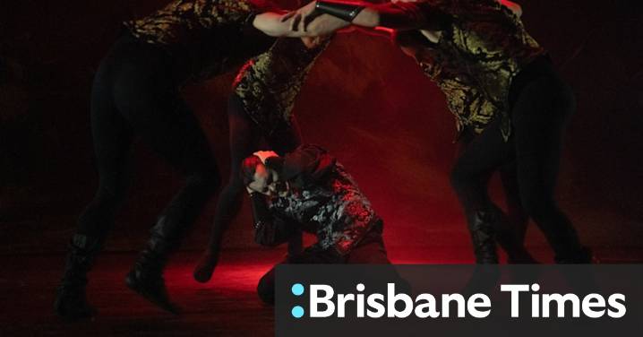 Dracula, Cut Copy, Pinchgut Opera reviewed