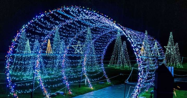 'Dazzling' Christmas lights trail set to open at 700-acre farm 30 minutes outside of London