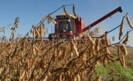 Retenciones cero: temen que la exportación pague de menos al campo
