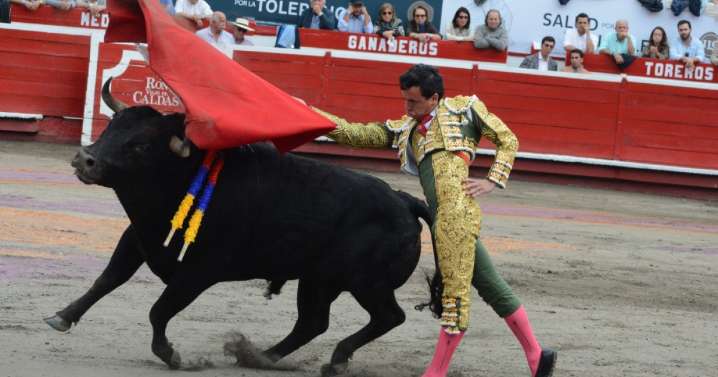 Manizales en camino a su última corrida de toros: reacciones en Caldas a favor y en contra de la tauromaquia