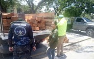 Autoridades incautaron lotes de madera de procedencia ilegal en Mérida