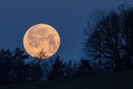 Rare corn moon to light up night sky tonight