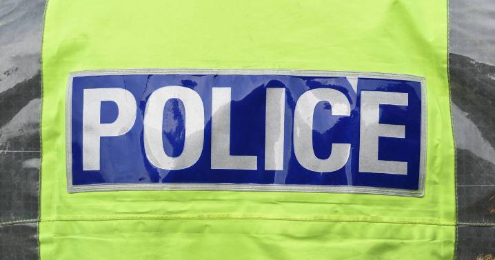 Police officer, 24, dies a week after being hit by car while responding to crash