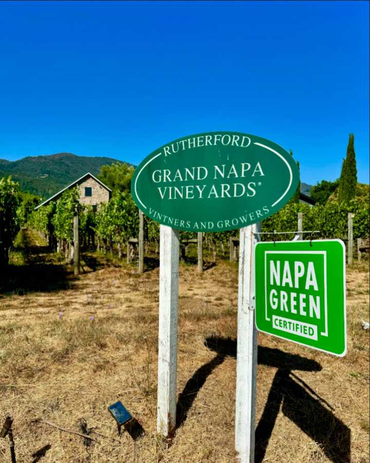 El Valle de Napa comienza a establecer sus Pinot Noir