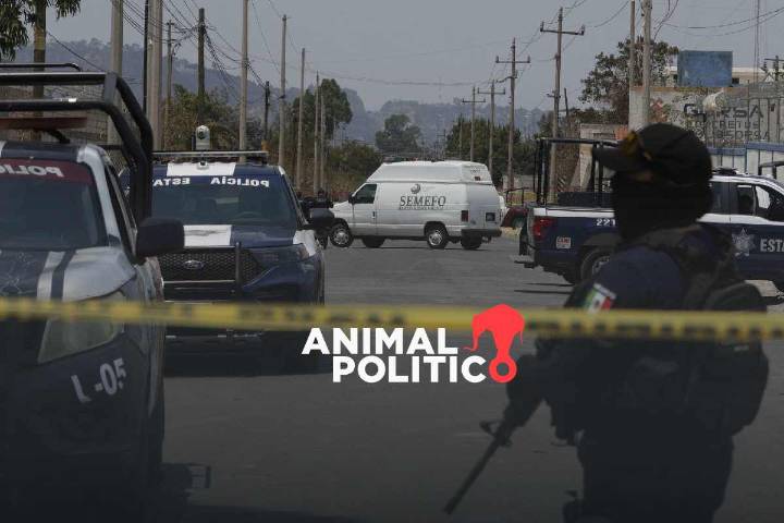 Van al menos 361 policías asesinados en gobierno de Sheinbaum; persiste abandono de agentes: informe