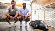 Wilson, Dowd bring their kids to National Zoo 