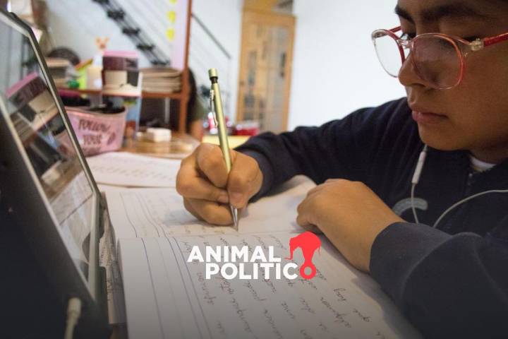 Sheinbaum presume becas, pero omite que desertaron 994 mil 219 alumnos