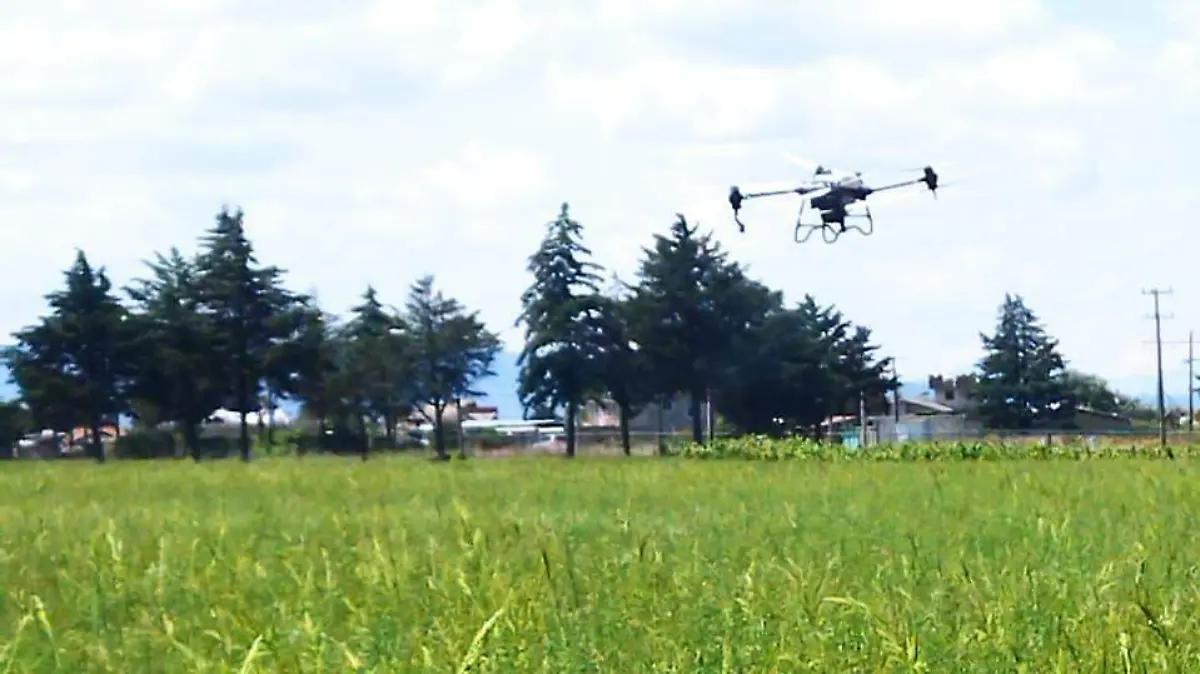 Drones, aliados de la agricultura moderna: Icamex