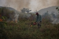 Quemas controladas y un clima más ameno: cómo Brasil redujo los incendios en la Amazonía