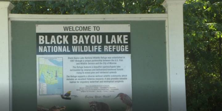 Government shutdown affects Black Bayou Lake National Wildlife Refuge staff